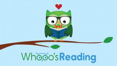 Photo of Whooo’s Reading – A great way to check reading comprehension and improve writing skills.